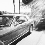 20110106 cavalier v1 2 (2)